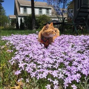 Meet your Posher, Kaitlyn